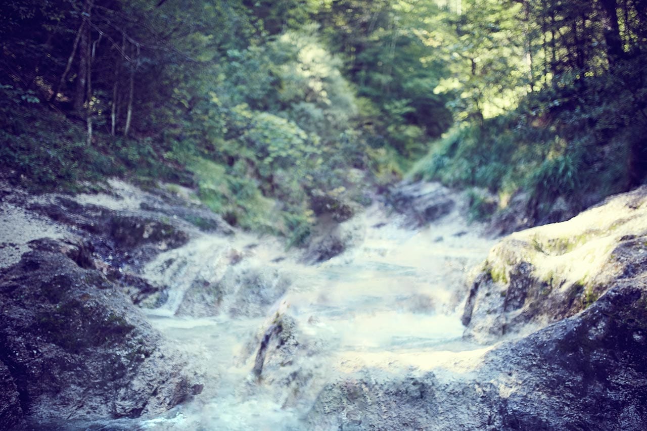 Trettl_True_369